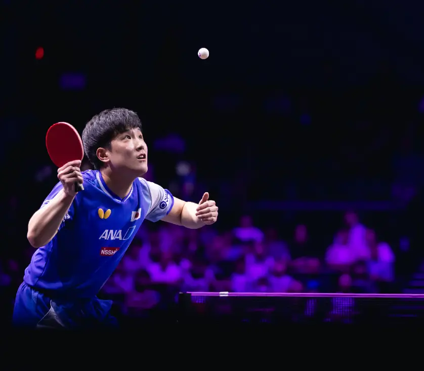 AA, msn, 就狭路相逢