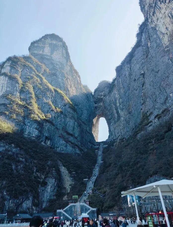 二审, 正如莽山那, msn